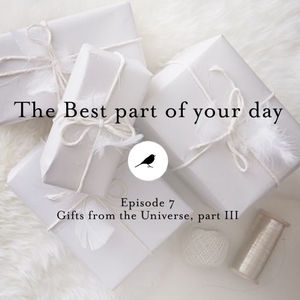 Wake Up Manifestos_Ep 7_Gifts from the Universe, Pt. III