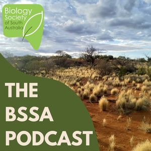 Ep. 18 - Arid Recovery: An interview with Katherine Tuft