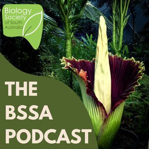 Ep. 20 - Matt Coulter & the Corpse Flower: Giants of Botanical Conservation