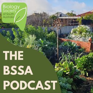 Ep. 19 - Urban Agriculture: Communities & Climate with Hannah Thwaites