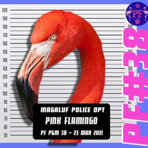 PF_ PROGRAMA #38 _ Flamingos Sangrientos