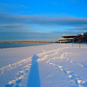 Episodio #011 - Un invierno en Estonia