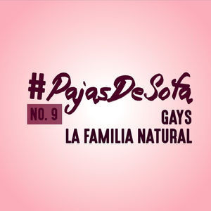 Odiamos a los gays???? | #8 | #PajasDeSofa