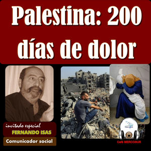Palestina: 200 días de dolor
