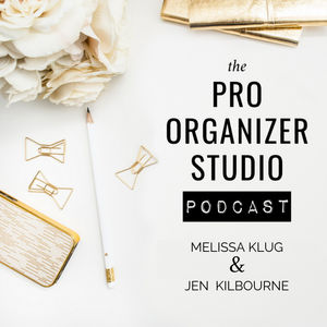 187 | The Right Words = Organizing Clients!  Marketing in 2024 with Meg Mueller of The Lit Bulb