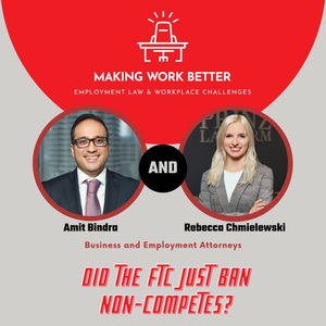 Ep. 21 – Did the FTC Just Ban Non-Competes? (Non-Competes IV)