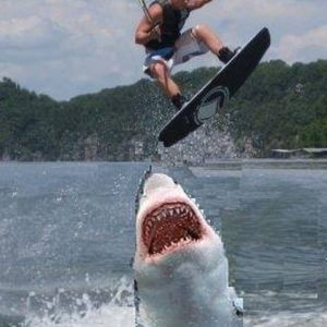 Jumping the Shark
