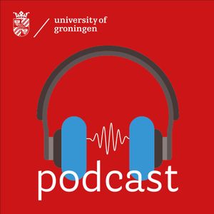 Influence of streaming platforms on musicians, the industry and culture - Robert Prey - In Science #39 - RUG Podcast