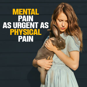 #477 Mental Pain as Urgent as Physical Pain