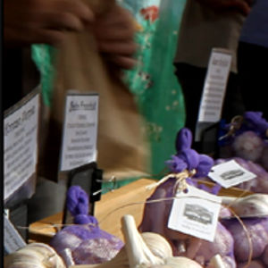 The Importance of Garlic to Small-Scale Farmers