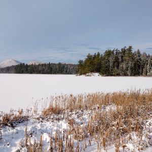Ep 118: Conservation in the Adirondack Park - A Convo with Drs. Heidi Kretser & Michale Glennon