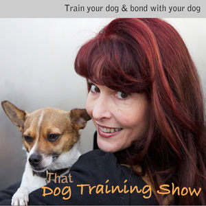 FEELING BAD IS BAD FOR THE DOG: THE GRAND RETURN OF "THAT DOG TRAINING SHOW"!