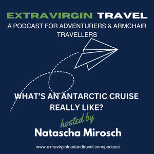 What's an Antarctic Cruise Really Like?