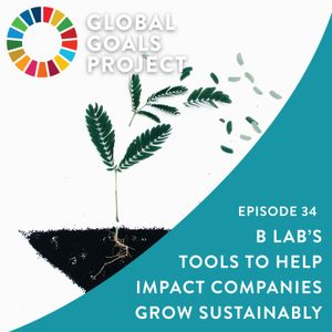 B Lab's Innovative Tools to Help Impact Companies Grow Sustainably [Episode 34]