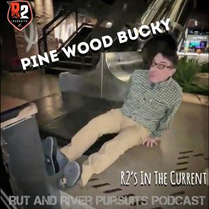 Pine Wood Bucky - R2's In The Current
