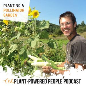 112. Why We Should All Turn Lawns into Pollinator Gardens & How to Do It On A Budget