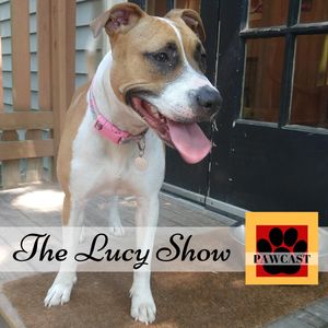 Pawcast 216: The Lucy Show