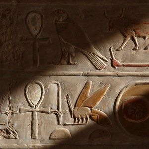 Book of the Dead News and Egyptian Curses Eps. 404