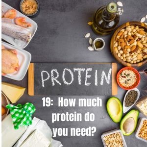 19: How much protein do you need?