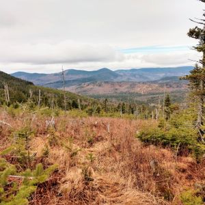 EP 117: A Comparison of Bigwoods Deer Hunting in Maine and the Adirondacks