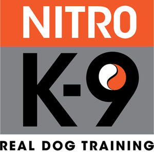 Real Dog Training - Nutrition for Your Dog