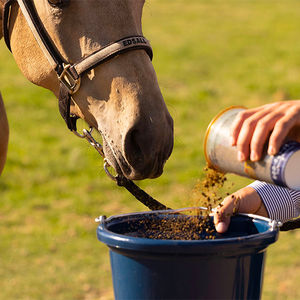 EP 135: Equine Nutrition in Depth, with Clair Thunes, Ph.D.