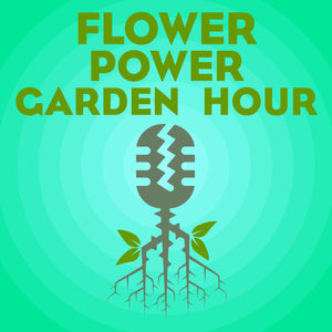 Flower Power Garden Hour 194:  Aroids, with Bruce Ritter