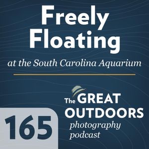 165 Freely Floating | February 2024 Print of the Month