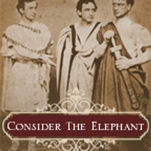 Consider The Elephant