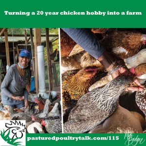 Turning a 20 year chicken hobby into a farm with Cynthia Capers