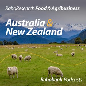 New Zealand and Australia sheepmeat update | April 2024