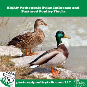 Highly Pathogenic Avian Influenza and Pastured Poultry Flocks