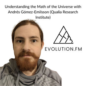Understanding the Math of Consciousness with Andrés Gómez-Emilsson (Qualia Research Institute)