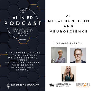 #276 - AI, Metacognition, and Neuroscience