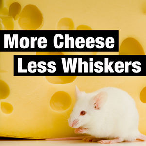 More Cheese Less Whiskers