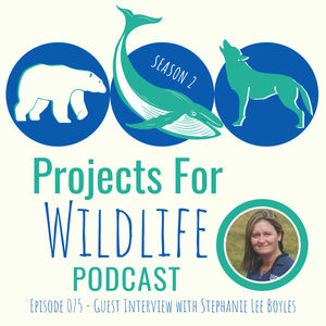 Episode 075 - Stephanie Boyles Griffin researches ways to help humans live with wildlife in urban areas