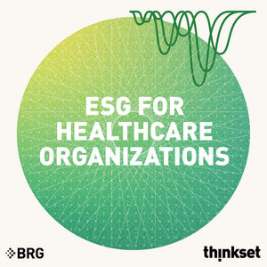 ESG for Healthcare Organizations: Opportunities and Potential Challenges