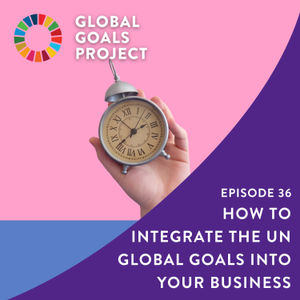 How to Integrate the UN Global Goals Into Your Business [Episode 36]