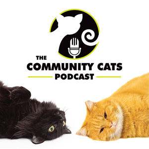 <description>&lt;p dir="ltr"&gt;Unlock the secrets to managing a thriving community cat colony as we team up with experts Bryan Kortis from Neighborhood Cats shares essential tips on maintaining a consistent feeding schedule and crafting secure feeding locations that benefit our feline companions. &lt;/p&gt; &lt;p dir="ltr"&gt;Prepare to enhance your caretaking skills. Learn how to keep mealtime peaceful and food safe from wildlife intruders. Join us for a deep dive into cat nutrition as we dissect pet food labels, revealing the necessity of meat-based ingredients for your colony's carnivorous diet. We demystify the grain vs. meat debate and serve up practical advice on delivering quality nutrition without breaking the bank. Whether you're navigating the aisles for wet or dry food options, we've got you covered with brand recommendations that strike the perfect balance between cost and the health of your colony cats. &lt;/p&gt; &lt;p dir="ltr"&gt;As the winter winds blow, we wrap up with vital strategies for adapting your care routine to the colder months. Discover how to keep water unfrozen and the importance of providing adequate shelter to ensure the comfort and safety of your community cats. Plus, we emphasize the role of responsible feeding practices and the significance of spay-neuter programs in humanely controlling cat populations. This episode is a must-listen for both seasoned caretakers and newcomers eager to make a meaningful impact in the lives of community cats.&lt;/p&gt; &lt;p dir="ltr"&gt;&lt;strong&gt;In this episode, you will hear:&lt;/strong&gt;&lt;/p&gt; &lt;ul&gt; &lt;li dir="ltr" aria-level="1"&gt; &lt;p dir="ltr" role="presentation"&gt;Colony caretaking tips and tricks&lt;/p&gt; &lt;/li&gt; &lt;li dir="ltr" aria-level="1"&gt; &lt;p dir="ltr" role="presentation"&gt;Feeding patterns and wildlife management&lt;/p&gt; &lt;/li&gt; &lt;li dir="ltr" aria-level="1"&gt; &lt;p dir="ltr" role="presentation"&gt;Understanding cat nutrition and behavior&lt;/p&gt; &lt;/li&gt; &lt;li dir="ltr" aria-level="1"&gt; &lt;p dir="ltr" role="presentation"&gt;Spay-neuter advocacy and feeding stations&lt;/p&gt; &lt;/li&gt; &lt;li dir="ltr" aria-level="1"&gt; &lt;p dir="ltr" role="presentation"&gt;Feeding tips for cats in winter&lt;/p&gt; &lt;/li&gt; &lt;/ul&gt; &lt;p dir="ltr"&gt;&lt;strong&gt;Resources from this Episode&lt;/strong&gt;&lt;/p&gt; &lt;p dir="ltr"&gt;Neighborhood Cats Website - &lt;a href= "https://www.neighborhoodcats.org/"&gt;https://www.neighborhoodcats.org&lt;/a&gt;&lt;/p&gt; &lt;p dir="ltr"&gt;Neighborhood Cats Facebook - &lt;a href= "https://www.facebook.com/neighborhoodcats/"&gt;https://www.facebook.com/neighborhoodcats/&lt;/a&gt;&lt;/p&gt; &lt;p dir="ltr"&gt;Neighborhood Cats Instagram - &lt;a href= "https://www.instagram.com/nbrhoodcats/"&gt;https://www.instagram.com/nbrhoodcats/&lt;/a&gt;&lt;/p&gt; &lt;p dir="ltr"&gt;The Everything TNR Playlist - &lt;a href= "https://communitycatspodcast.com/everythingtnr"&gt;https://communitycatspodcast.com/everythingtnr&lt;/a&gt;&lt;/p&gt; &lt;p dir="ltr"&gt;Visit TNR Workshops and Community Cat Care Training for more webinars like this - &lt;a href= "https://www.communitycatspodcast.com/community-cat-care-training-education/"&gt; https://www.communitycatspodcast.com/community-cat-care-training-education/&lt;/a&gt;&lt;/p&gt; &lt;p dir="ltr"&gt;This episode is sponsored in part by Maddie’s Fund (&lt;a href= "https://www.communitycatspodcast.com/maddies555"&gt;https://www.communitycatspodcast.com/maddies555&lt;/a&gt;) and The United Spay Alliance (&lt;a href= "https://www.communitycatspodcast.com/unitedspay"&gt;https://www.communitycatspodcast.com/unitedspay&lt;/a&gt;).&lt;/p&gt; &lt;p dir="ltr"&gt;&lt;strong&gt;Follow and Review:&lt;/strong&gt;&lt;/p&gt; &lt;p dir="ltr"&gt;We’d love for you to follow us if you haven’t yet. Click that purple '+' in the top right corner of your Apple Podcasts app. We’d love it even more if you could drop a review or 5-star rating over on &lt;a href= "https://podcasts.apple.com/us/podcast/the-community-cats-podcast/id1125752101?mt=2"&gt; Apple Podcasts&lt;/a&gt;. Simply select “Ratings and Reviews” and “Write a Review” then a quick line with your favorite part of the episode. It only takes a second and it helps spread the word about the podcast.&lt;/p&gt; &lt;p dir="ltr"&gt;&lt;strong&gt;Episode Credits&lt;/strong&gt;&lt;/p&gt; &lt;p&gt;If you like this podcast and are thinking of creating your own, consider talking to my producer, Emerald City Productions. They helped me grow and produce the podcast you are listening to right now. Find out more at &lt;a href= "https://emeraldcitypro.com/"&gt;https://emeraldcitypro.com&lt;/a&gt;. Let them know we sent you.&lt;/p&gt;</description>