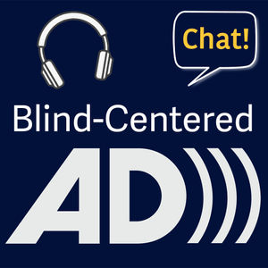 Blind Centered Audio Description Chat: Certification Feedback