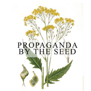 Important!!!  Subscribe To The New Propaganda By The Seed Feed!  Its No Longer on Solecast!  We Just Dropped 1st Episode of Season 2