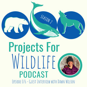 Episode 076 - Dawn Wilson talks about Alaskan Bears and the pebble mine proposal and how photographs can save the bears