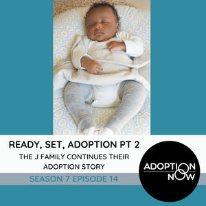 Ready, Set, Adoption Part 2: The J Family Continues Their Adoption Journey [S7E14]