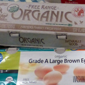 How Organic is an 'Organic' Egg?