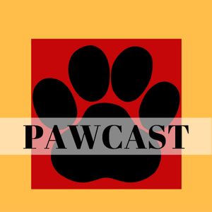 Pawcast 213: The Puppy Episode