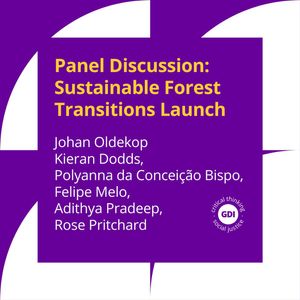 Panel Discussion: Sustainable Forest Transitions Project Launch