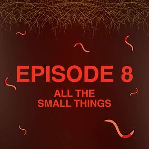 All the Small Things