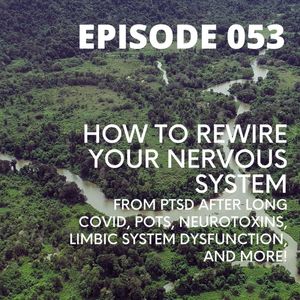 053 - How To Rewire Your Nervous System from PTSD after Long COVID, POTS, Neurotoxins, Limbic System Dysfunction, and More!
