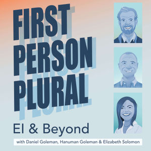 <description>&lt;p&gt;On today’s episode, Daniel Goleman and Amy Gallo discuss Gallo’s new book, &lt;a href='https://www.amazon.com/Getting-Along-Anyone-Difficult-People/dp/1647821061/'&gt;Getting Along: How to Work with Anyone (Even Difficult People)&lt;/a&gt;. This is a must listen for anyone who has ever had a job. Gallo identifies eight types of difficult people and shares how you might deal with insecure managers, passive aggressive people and other folks who keep us up at night. &lt;/p&gt;&lt;p&gt;Learn the 12 emotional intelligence (EI) competencies from Daniel Goleman's EI model, crucial for developing your inner capacity and impact on the world, becoming an outstanding leader, and building high-performance teams.&lt;/p&gt; &lt;p&gt;&lt;a rel="payment" href="https://www.patreon.com/firstpersonplural"&gt;Support the show&lt;/a&gt;&lt;/p&gt;</description>