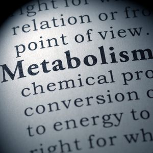 Episode 126: Determining Your Resting Metabolic Rate